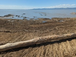 Fleuve