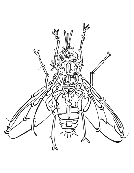 Mouche
